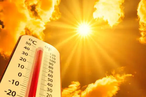 Click Here To Enlarge This Photo Of When Learning and Wellbeing Collide&colon; What This Summer's Heatwave Can Teach Us About Education